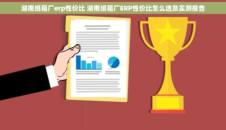 湖南纸箱厂erp性价比 湖南纸箱厂ERP性价比怎么选及实测报告