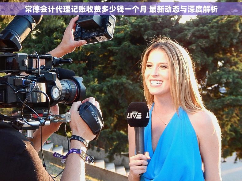 常德会计代理记账收费多少钱一个月 最新动态与深度解析