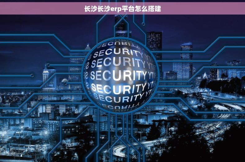 长沙长沙erp平台怎么搭建