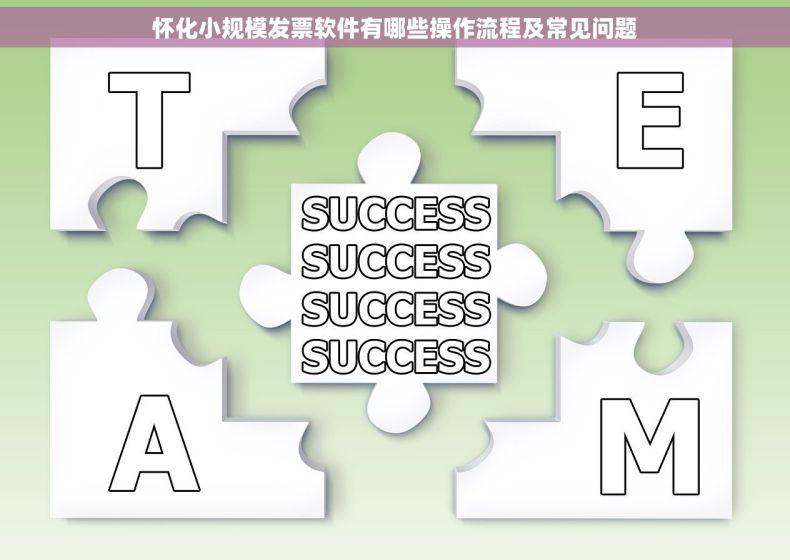 怀化小规模发票软件有哪些操作流程及常见问题