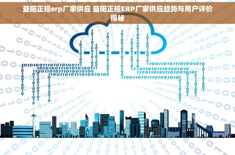 益阳正规erp厂家供应 益阳正规ERP厂家供应趋势与用户评价揭秘
