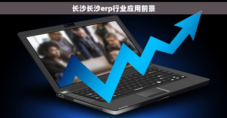 长沙长沙erp行业应用前景