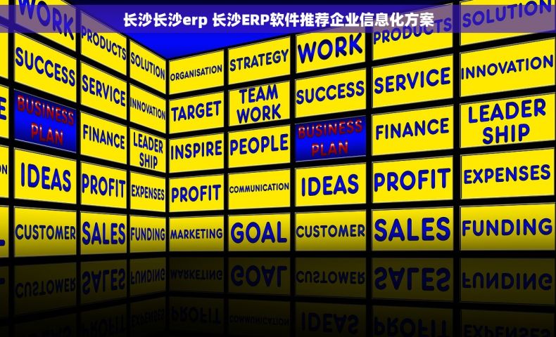 长沙长沙erp 长沙ERP软件推荐企业信息化方案
