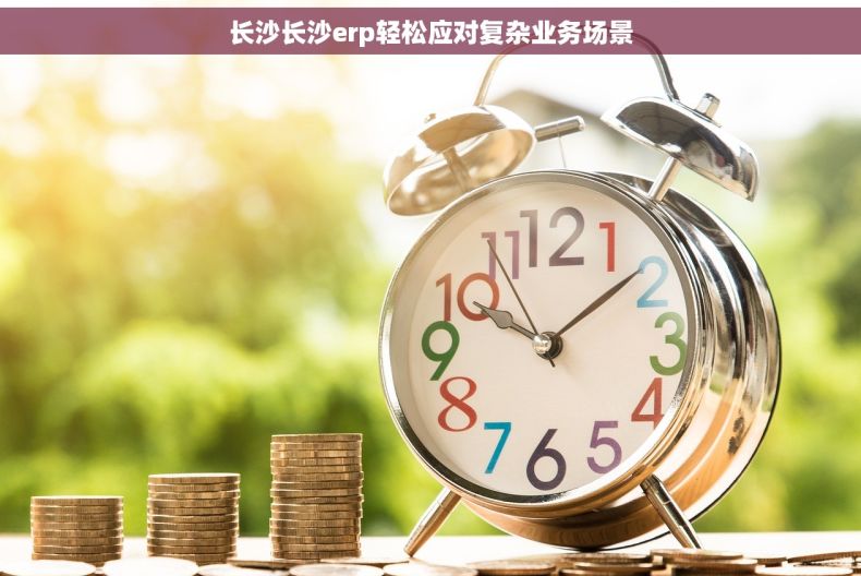 长沙长沙erp轻松应对复杂业务场景