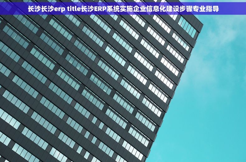 长沙长沙erp title长沙ERP系统实施企业信息化建设步骤专业指导
