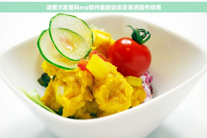 湖南沙发面料erp软件最新动态及系统操作指南