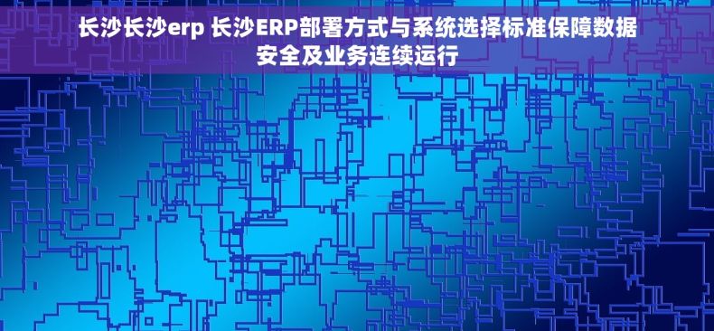 长沙长沙erp 长沙ERP部署方式与系统选择标准保障数据安全及业务连续运行