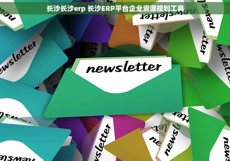 长沙长沙erp 长沙ERP平台企业资源规划工具