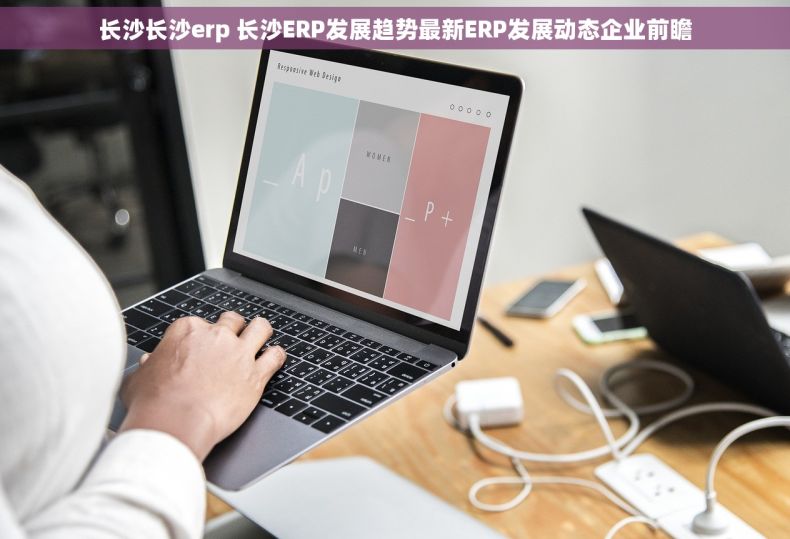 长沙长沙erp 长沙ERP发展趋势最新ERP发展动态企业前瞻