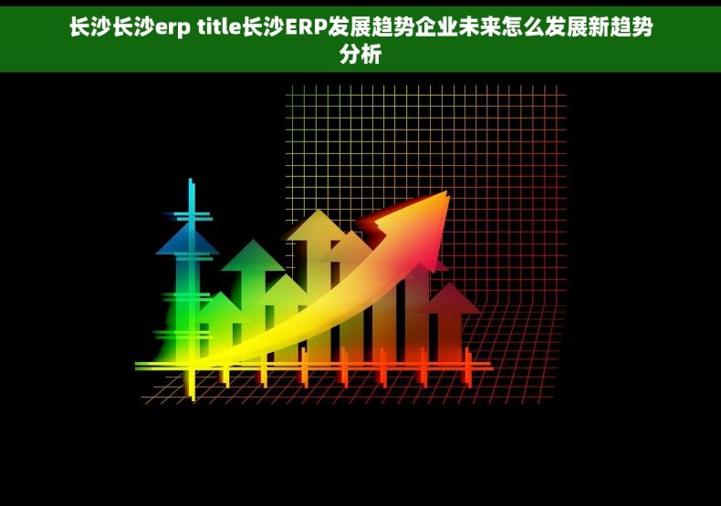 长沙长沙erp title长沙ERP发展趋势企业未来怎么发展新趋势分析