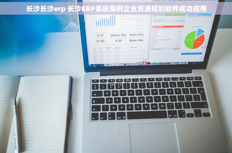 长沙长沙erp 长沙ERP系统案例企业资源规划软件成功应用