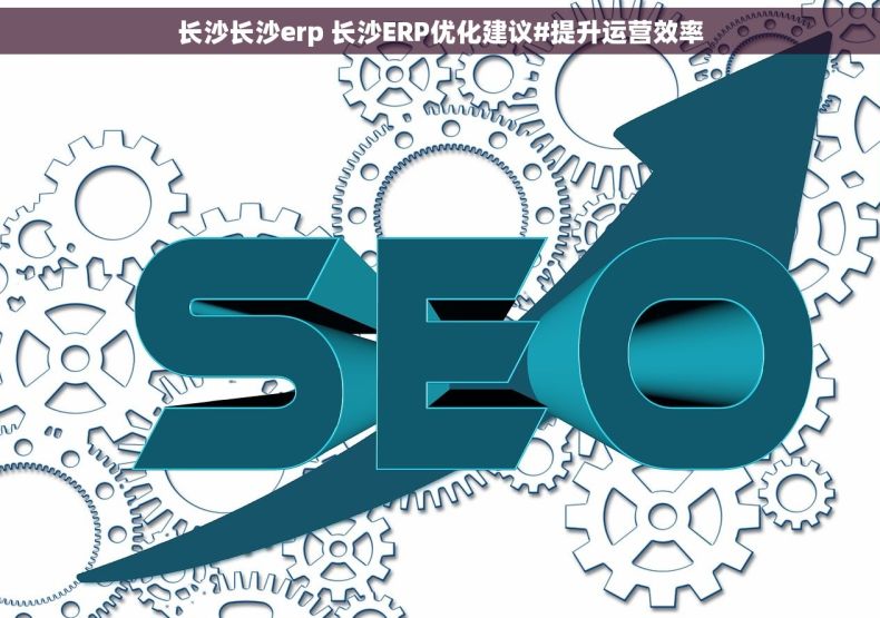 长沙长沙erp 长沙ERP优化建议#提升运营效率