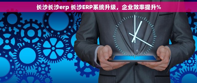 长沙长沙erp 长沙ERP系统升级，企业效率提升%