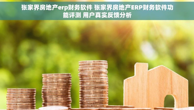 张家界房地产erp财务软件 张家界房地产ERP财务软件功能评测 用户真实反馈分析