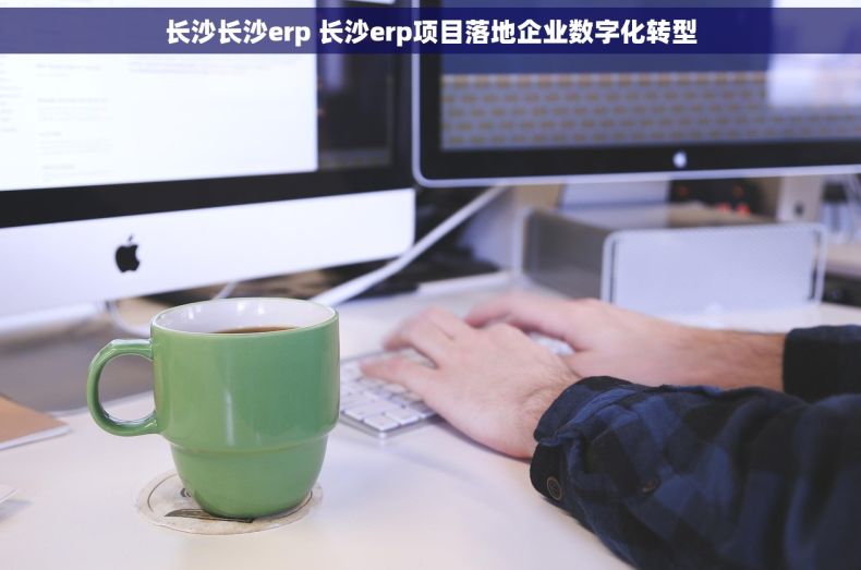 长沙长沙erp 长沙erp项目落地企业数字化转型