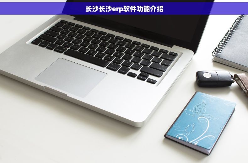 长沙长沙erp软件功能介绍