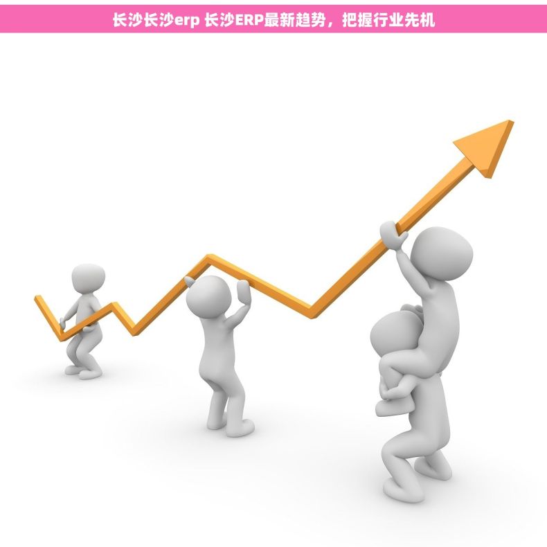 长沙长沙erp 长沙ERP最新趋势，把握行业先机
