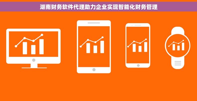 湖南财务软件代理助力企业实现智能化财务管理
