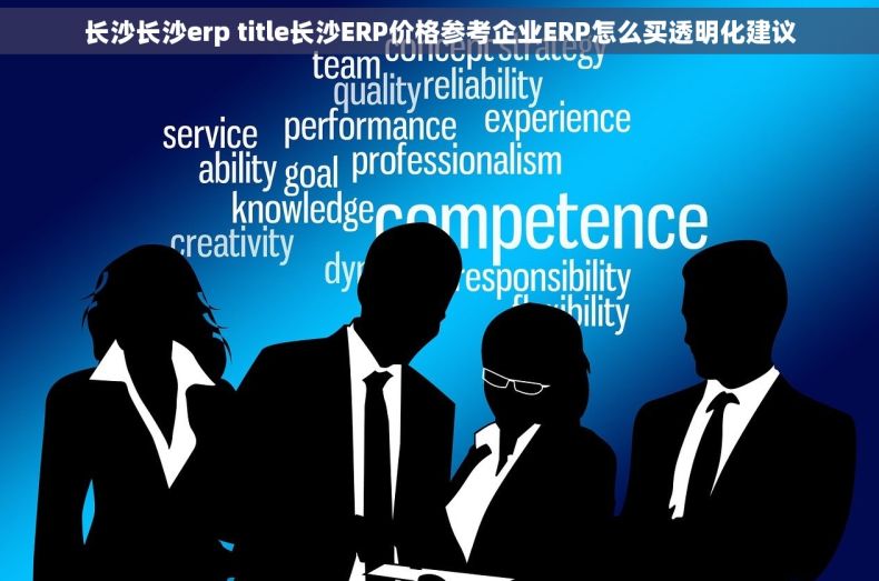 长沙长沙erp title长沙ERP价格参考企业ERP怎么买透明化建议