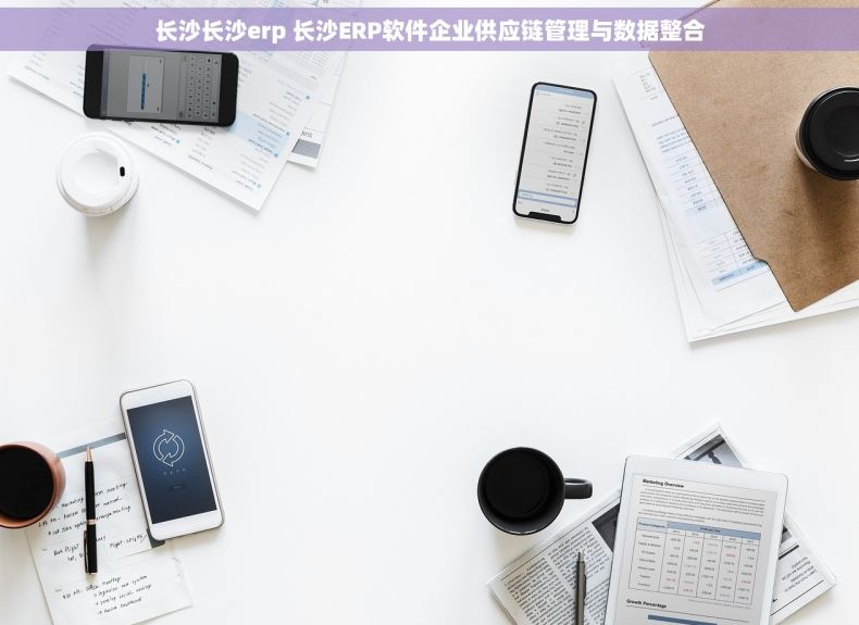 长沙长沙erp 长沙ERP软件企业供应链管理与数据整合