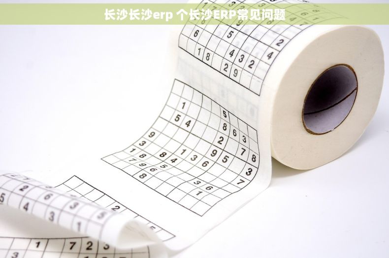 长沙长沙erp 个长沙ERP常见问题