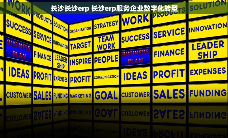 长沙长沙erp 长沙erp服务企业数字化转型