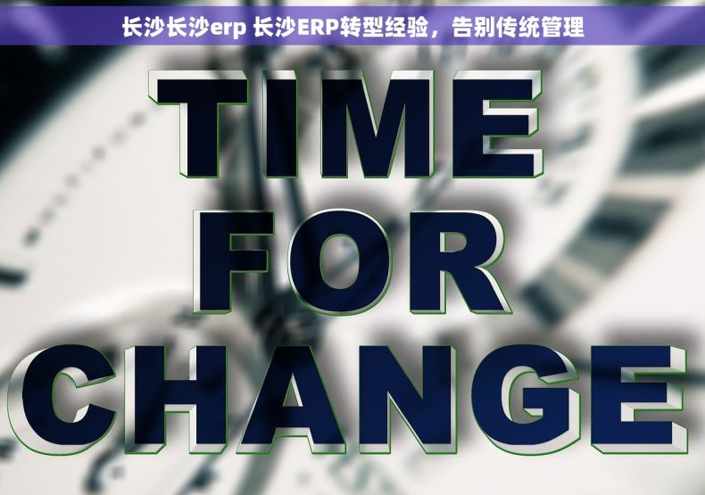 长沙长沙erp 长沙ERP转型经验，告别传统管理