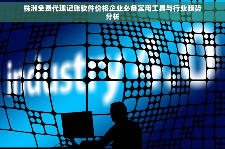 株洲免费代理记账软件价格企业必备实用工具与行业趋势分析