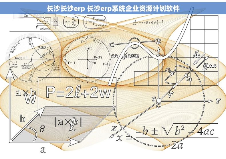 长沙长沙erp 长沙erp系统企业资源计划软件