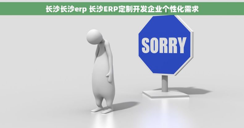 长沙长沙erp 长沙ERP定制开发企业个性化需求