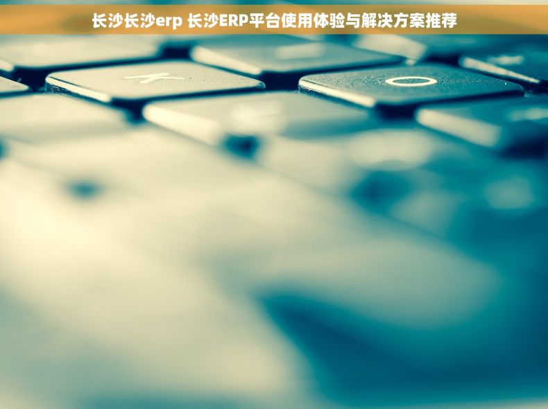 长沙长沙erp 长沙ERP平台使用体验与解决方案推荐