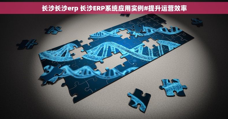长沙长沙erp 长沙ERP系统应用实例#提升运营效率