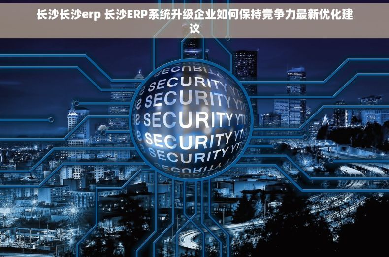 长沙长沙erp 长沙ERP系统升级企业如何保持竞争力最新优化建议