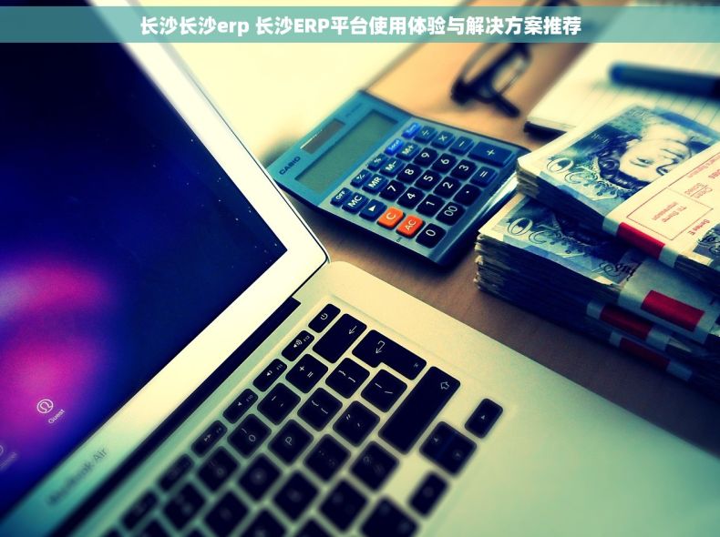 长沙长沙erp 长沙ERP平台使用体验与解决方案推荐