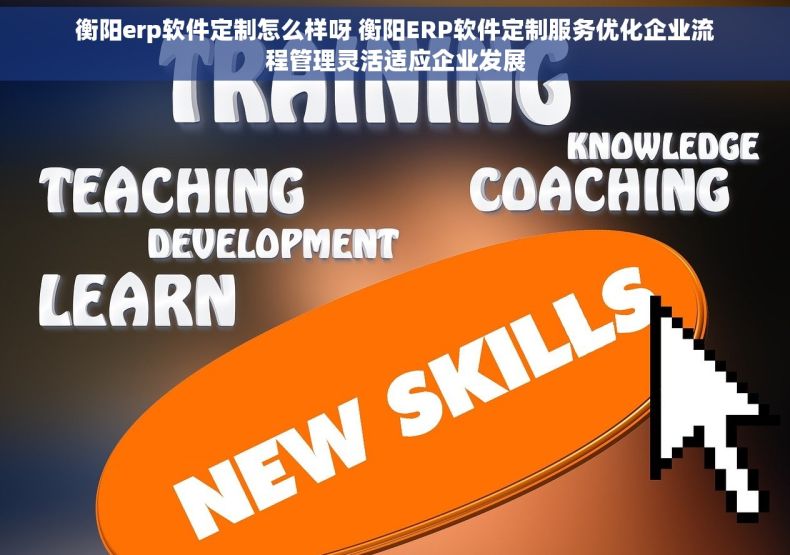 衡阳erp软件定制怎么样呀 衡阳ERP软件定制服务优化企业流程管理灵活适应企业发展