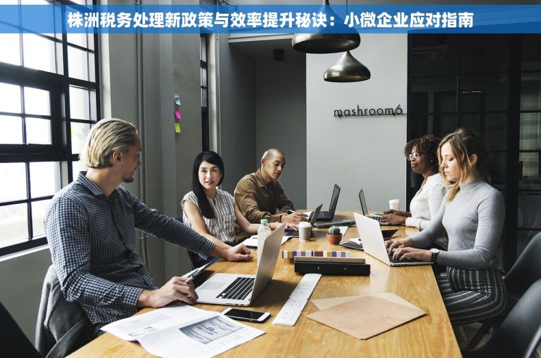 株洲税务处理新政策与效率提升秘诀：小微企业应对指南