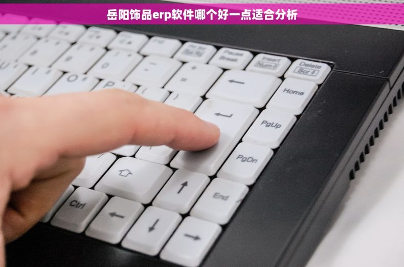岳阳饰品erp软件哪个好一点适合分析