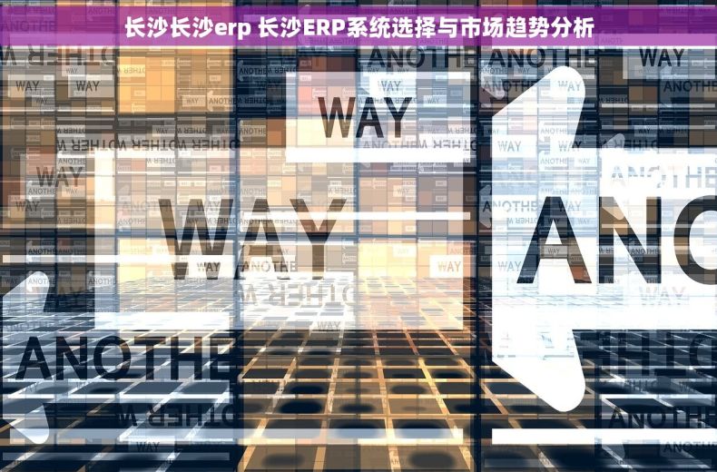 长沙长沙erp 长沙ERP系统选择与市场趋势分析