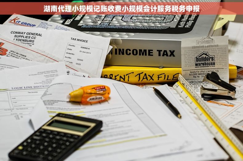 湖南代理小规模记账收费小规模会计服务税务申报