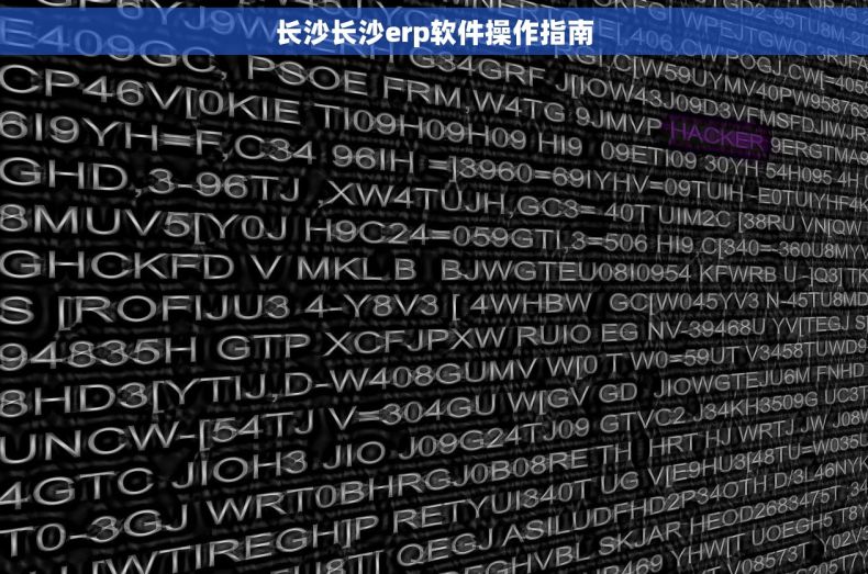 长沙长沙erp软件操作指南