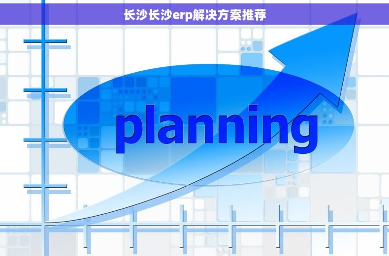 长沙长沙erp解决方案推荐