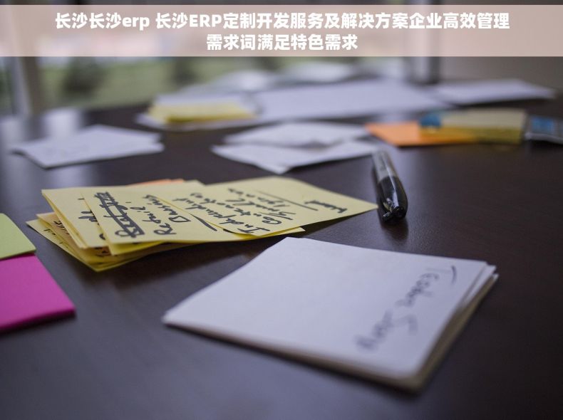 长沙长沙erp 长沙ERP定制开发服务及解决方案企业高效管理需求词满足特色需求