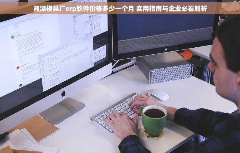 湘潭模具厂erp软件价格多少一个月 实用指南与企业必看解析