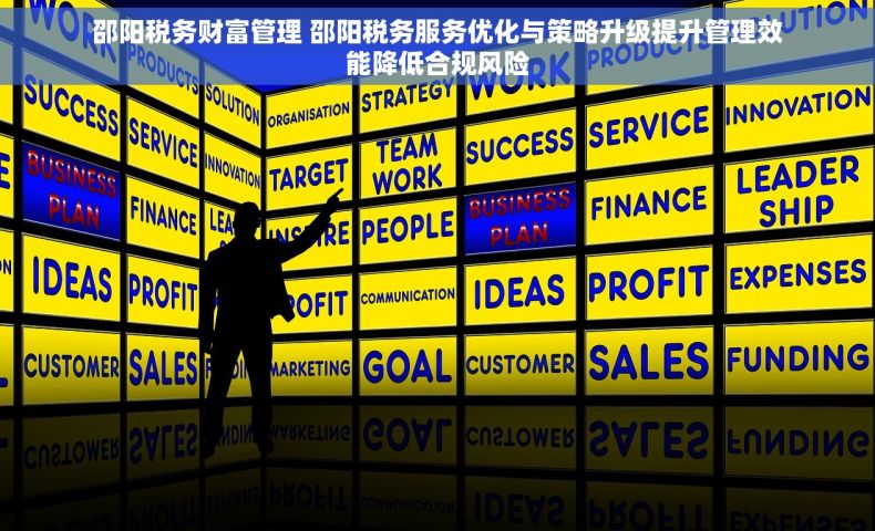 邵阳税务财富管理 邵阳税务服务优化与策略升级提升管理效能降低合规风险