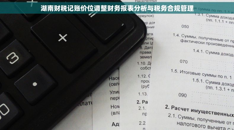 湖南财税记账价位调整财务报表分析与税务合规管理