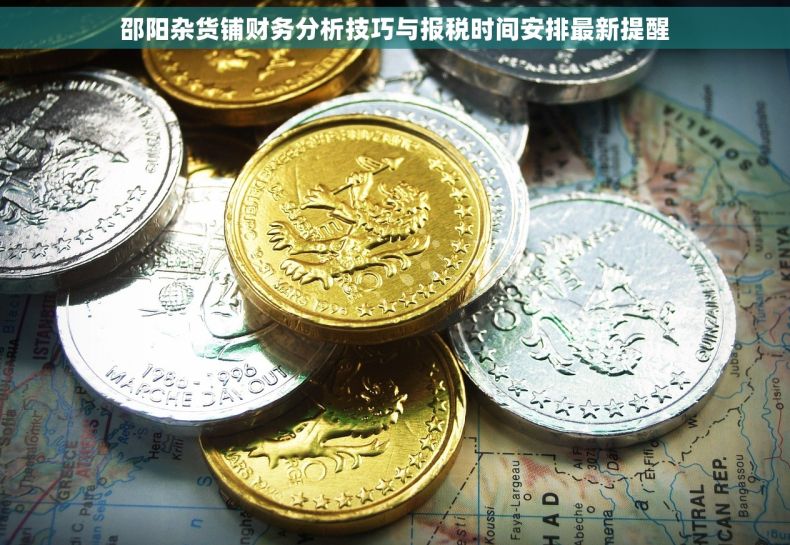 邵阳杂货铺财务分析技巧与报税时间安排最新提醒