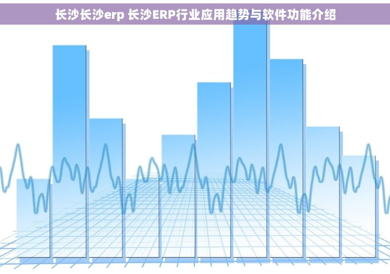 长沙长沙erp 长沙ERP行业应用趋势与软件功能介绍