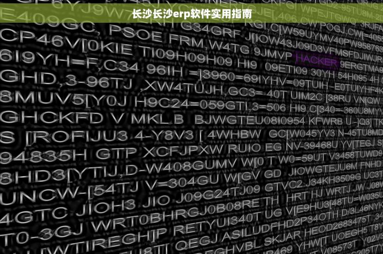长沙长沙erp软件实用指南