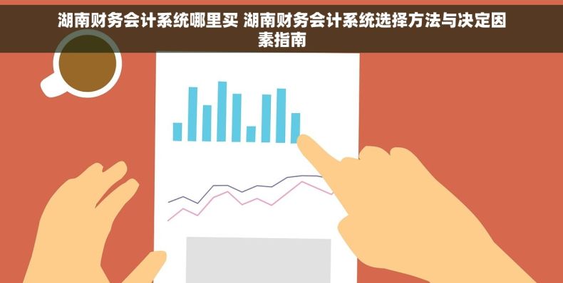 湖南财务会计系统哪里买 湖南财务会计系统选择方法与决定因素指南