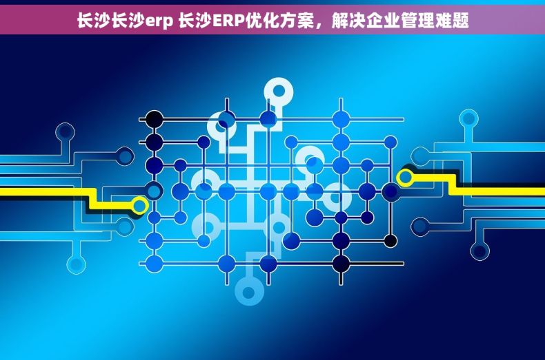 长沙长沙erp 长沙ERP优化方案，解决企业管理难题